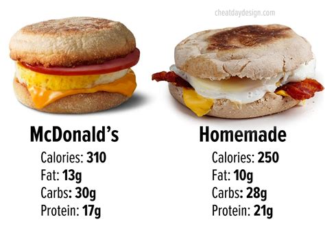 How Much Protein in an Egg McMuffin: A Journey Through Breakfast, Nutrition, and the Absurd