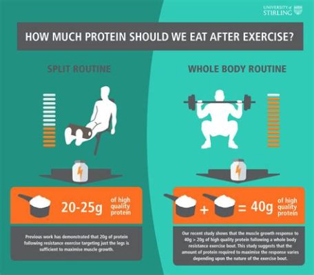 How Much Protein in One Sitting is Too Much: Exploring the Limits and Myths