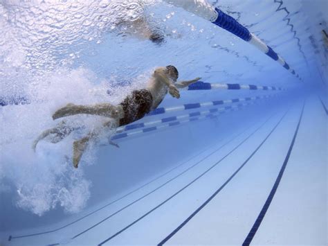 What Does Lap Swim Mean? Exploring the Depths of Pool Etiquette and Personal Growth