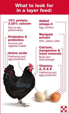 What Vitamins Do Chickens Need: Exploring the Nutritional Maze of Poultry Health